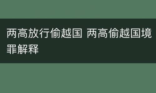 两高放行偷越国 两高偷越国境罪解释