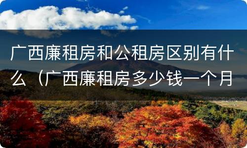 广西廉租房和公租房区别有什么（广西廉租房多少钱一个月）