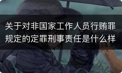 关于对非国家工作人员行贿罪规定的定罪刑事责任是什么样的
