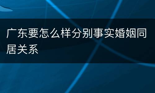 广东要怎么样分别事实婚姻同居关系