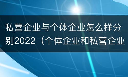 私营企业与个体企业怎么样分别2022（个体企业和私营企业有什么联系）