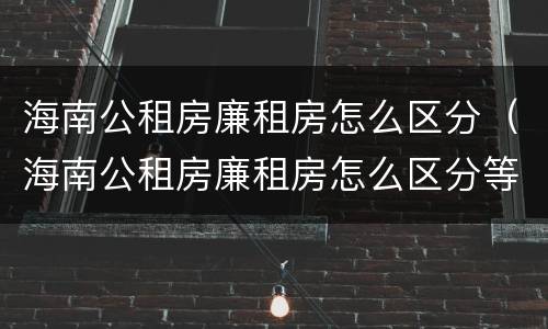 海南公租房廉租房怎么区分（海南公租房廉租房怎么区分等级）