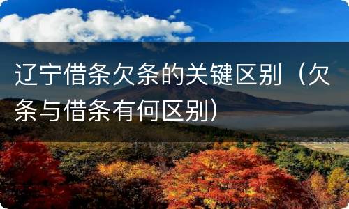 辽宁借条欠条的关键区别（欠条与借条有何区别）