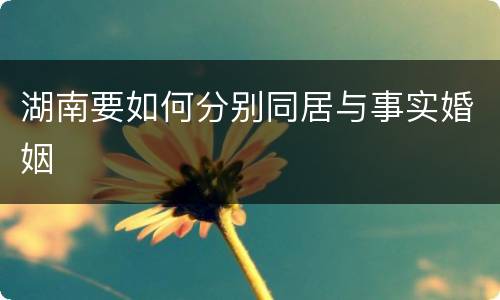 湖南要如何分别同居与事实婚姻