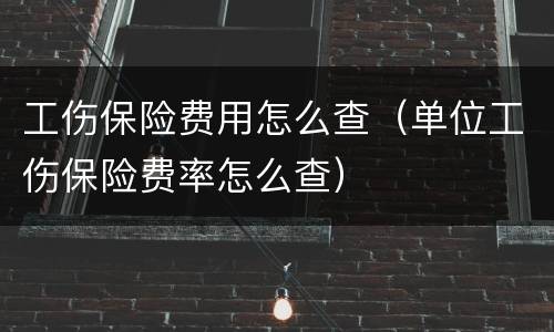 工伤保险费用怎么查（单位工伤保险费率怎么查）