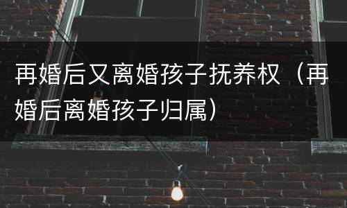 再婚后又离婚孩子抚养权（再婚后离婚孩子归属）