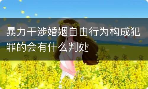暴力干涉婚姻自由行为构成犯罪的会有什么判处
