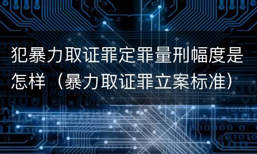 犯暴力取证罪定罪量刑幅度是怎样（暴力取证罪立案标准）