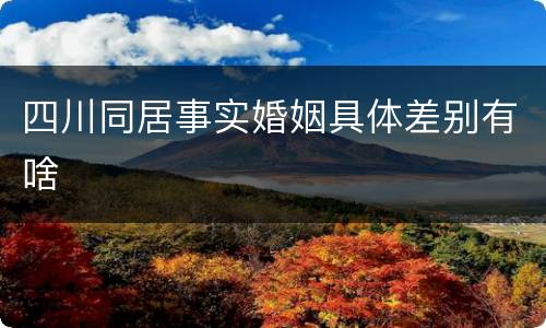 四川同居事实婚姻具体差别有啥