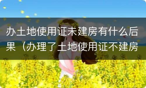 办土地使用证未建房有什么后果（办理了土地使用证不建房子可以吗）