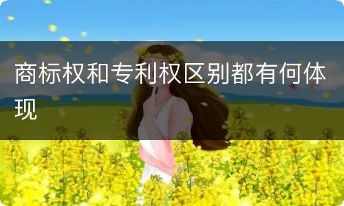商标权和专利权区别都有何体现