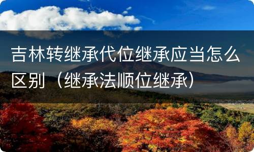 吉林转继承代位继承应当怎么区别（继承法顺位继承）