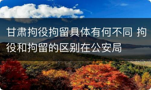 甘肃拘役拘留具体有何不同 拘役和拘留的区别在公安局