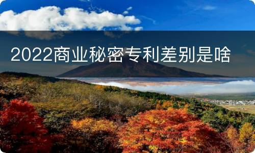 2022商业秘密专利差别是啥