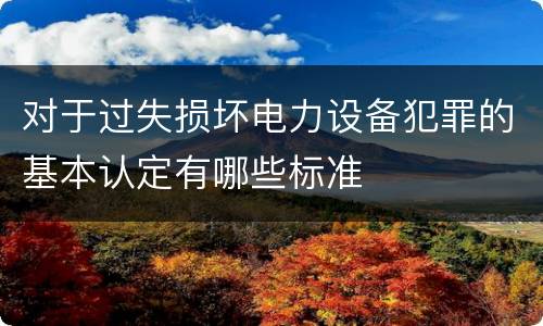 对于过失损坏电力设备犯罪的基本认定有哪些标准