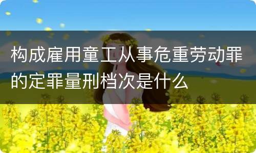 构成雇用童工从事危重劳动罪的定罪量刑档次是什么