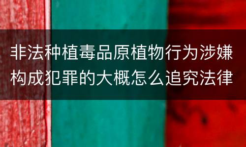 非法种植毒品原植物行为涉嫌构成犯罪的大概怎么追究法律责任