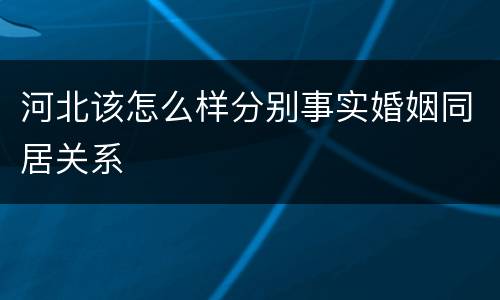 河北该怎么样分别事实婚姻同居关系