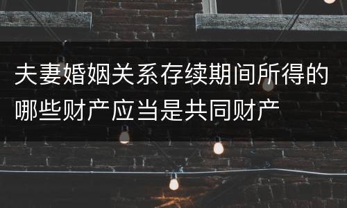 夫妻婚姻关系存续期间所得的哪些财产应当是共同财产