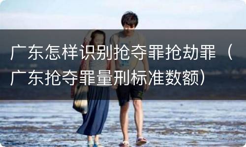 广东怎样识别抢夺罪抢劫罪（广东抢夺罪量刑标准数额）