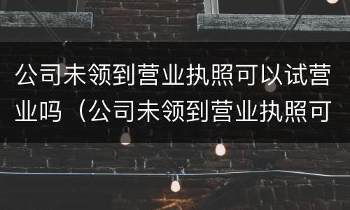 公司未领到营业执照可以试营业吗（公司未领到营业执照可以试营业吗怎么办）