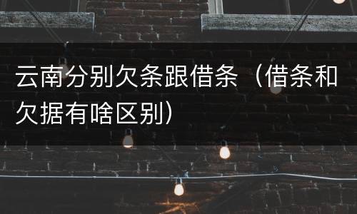 云南分别欠条跟借条（借条和欠据有啥区别）