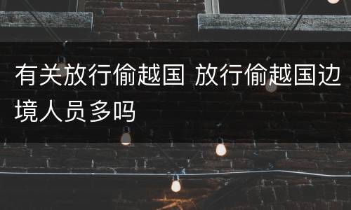 有关放行偷越国 放行偷越国边境人员多吗