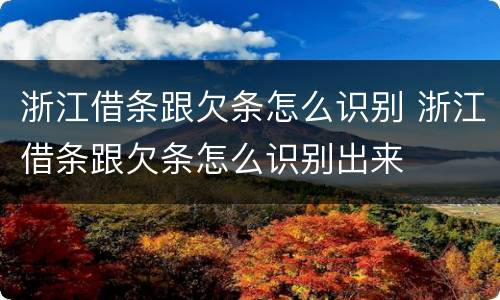浙江借条跟欠条怎么识别 浙江借条跟欠条怎么识别出来