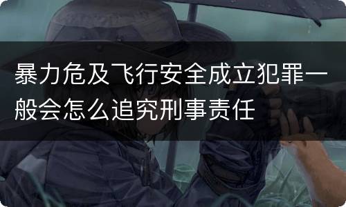 暴力危及飞行安全成立犯罪一般会怎么追究刑事责任