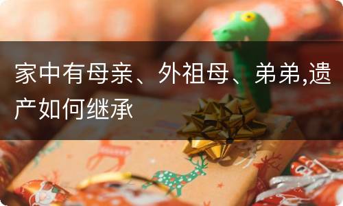 家中有母亲、外祖母、弟弟,遗产如何继承