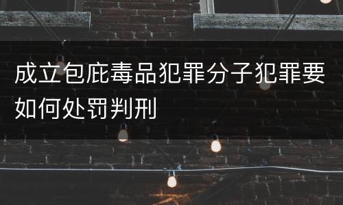 成立包庇毒品犯罪分子犯罪要如何处罚判刑