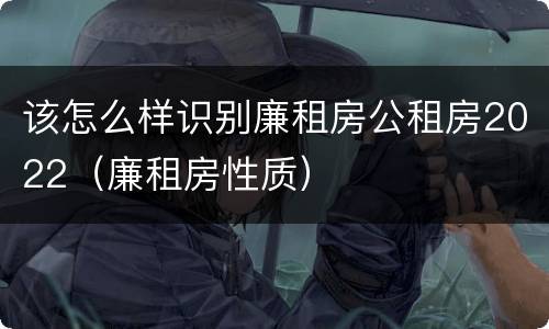 该怎么样识别廉租房公租房2022（廉租房性质）