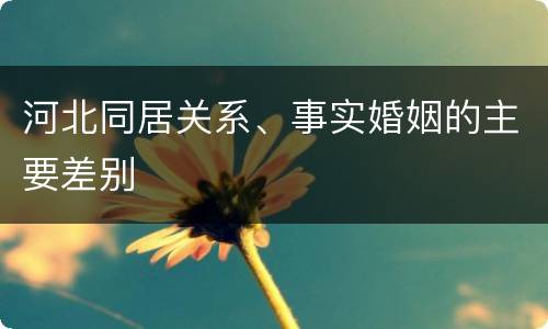 河北同居关系、事实婚姻的主要差别