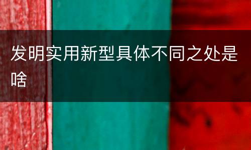 发明实用新型具体不同之处是啥