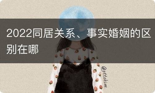 2022同居关系、事实婚姻的区别在哪