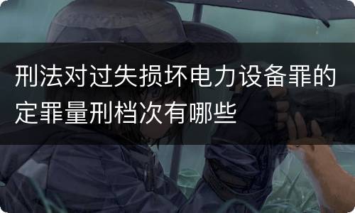 刑法对过失损坏电力设备罪的定罪量刑档次有哪些