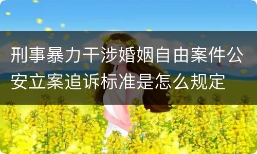 刑事暴力干涉婚姻自由案件公安立案追诉标准是怎么规定