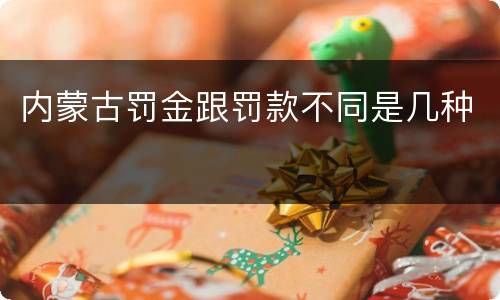 内蒙古罚金跟罚款不同是几种