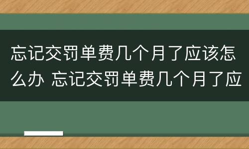 忘记交罚单费几个月了应该怎么办 忘记交罚单费几个月了应该怎么办呢
