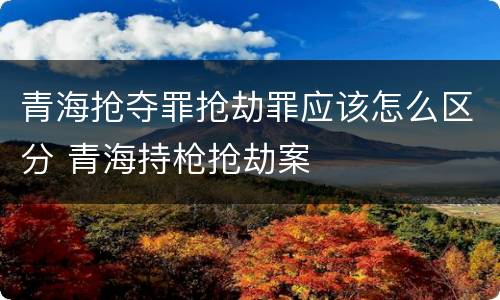 青海抢夺罪抢劫罪应该怎么区分 青海持枪抢劫案