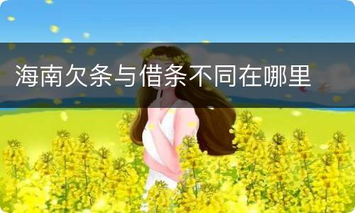 海南欠条与借条不同在哪里