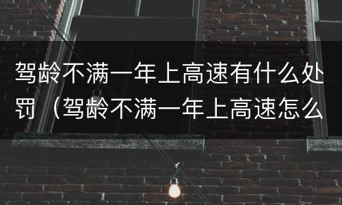 驾龄不满一年上高速有什么处罚（驾龄不满一年上高速怎么处罚）