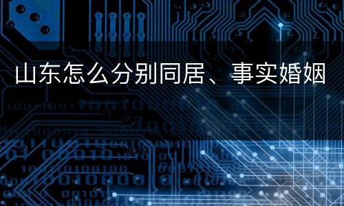 山东怎么分别同居、事实婚姻