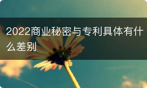 2022商业秘密与专利具体有什么差别