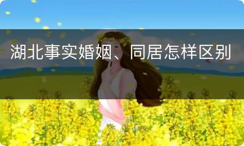 湖北事实婚姻、同居怎样区别