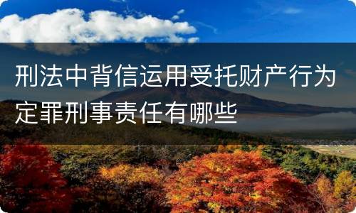 刑法中背信运用受托财产行为定罪刑事责任有哪些