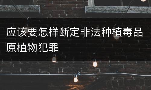 应该要怎样断定非法种植毒品原植物犯罪