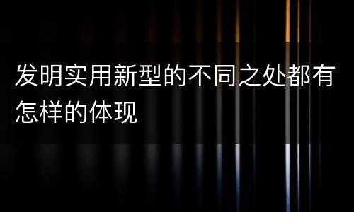 发明实用新型的不同之处都有怎样的体现