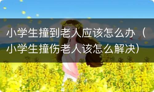 小学生撞到老人应该怎么办（小学生撞伤老人该怎么解决）