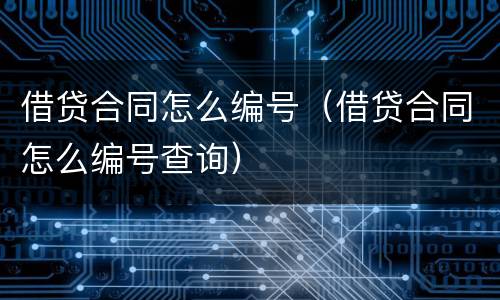 借贷合同怎么编号（借贷合同怎么编号查询）